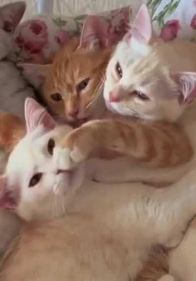 Who stands out the most?