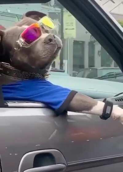 Lmao I can’t stop watching this 😂