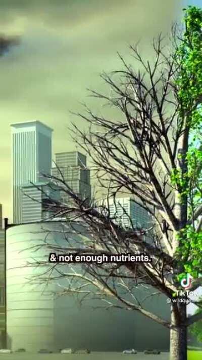 Wannabe Tarzan does science.