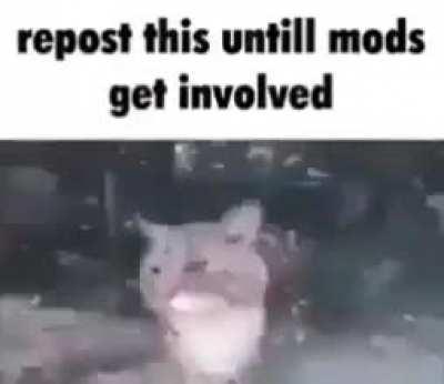 I haven't even posted on this sub before 