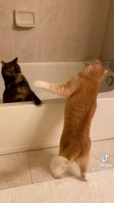 Everyone be throwing hands..