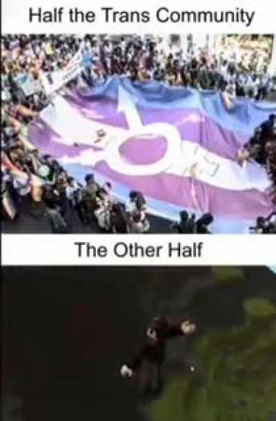 Yeah! We do need to help trans people with emotional and gender affirming care! How sweet! They all should be celebrating!