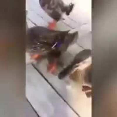 This is a compilation of perfectly cut screams and if fits Jack SO WELL, I just had to share it with you guys.