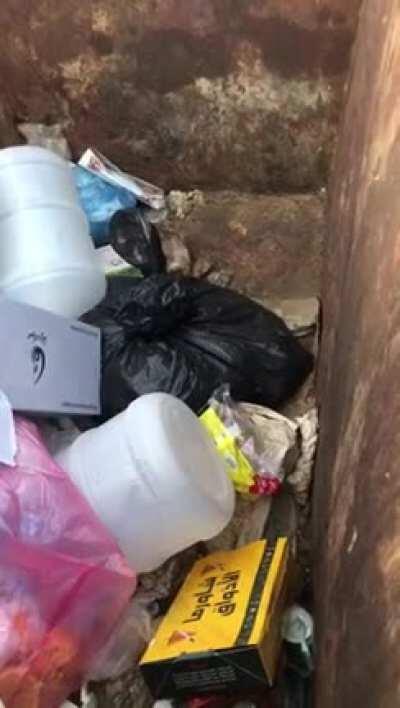 How inhuman and souless do you have to be to do something like this?