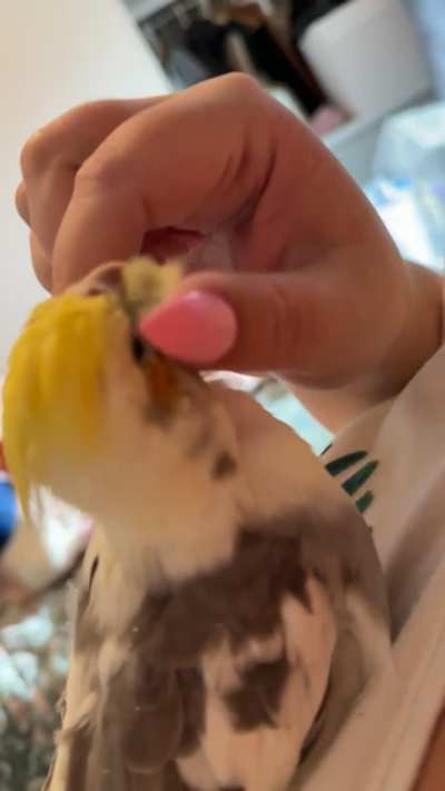 I was told she would be loved here 😌