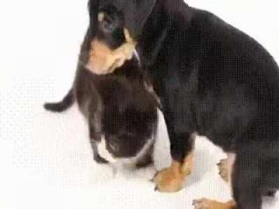 Too many points to count!