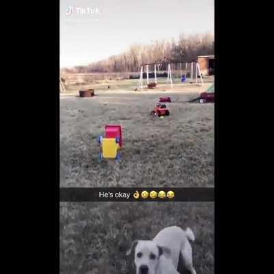 Good boi. Fast boi. Clumsy boi.