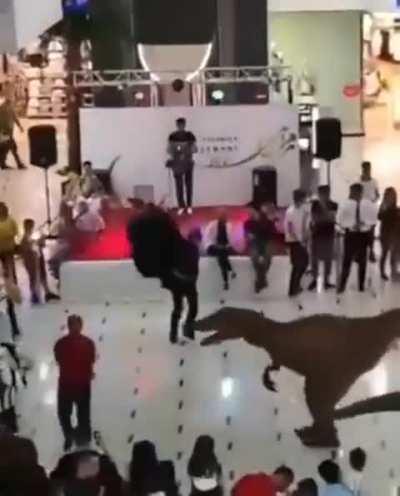 what in the actual fuck is man doing