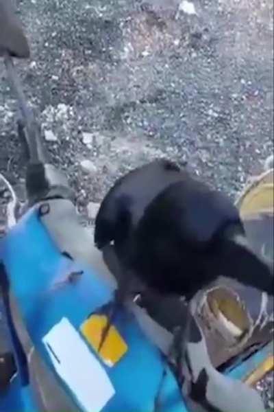 average conversation with eileen