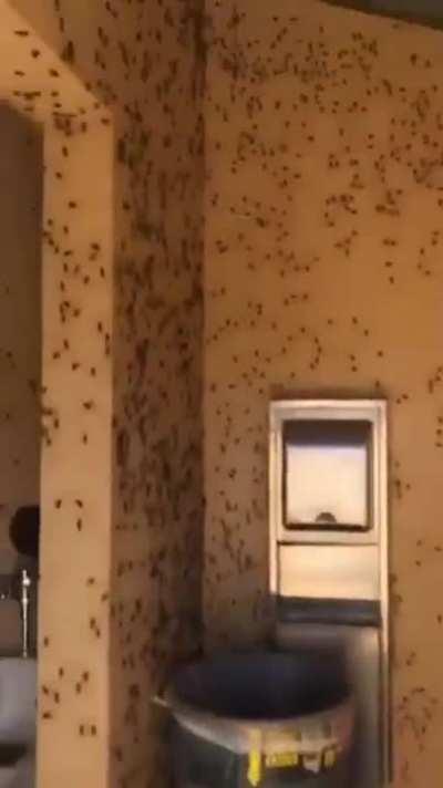 cleanest texas bathroom