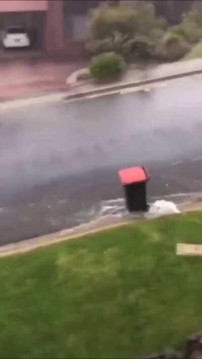 I guess it’s time for a new bin.