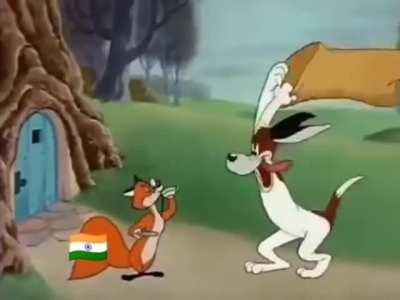 India's campaign till now 