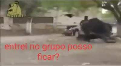 Posso?👌😳😯😧👌