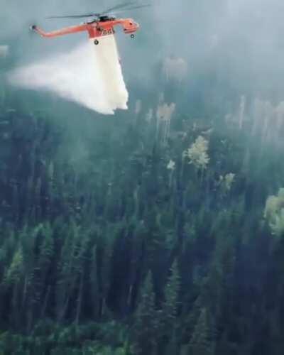 Helicopter pilot with amazing aim