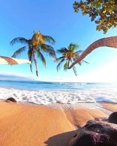 Good morning and have a good Day !