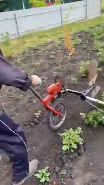 The farmer who found a way to get rid of agricultural pests without using pesticides. This is brilliant and they are still alive