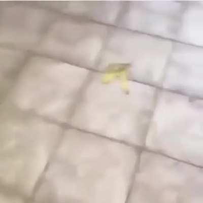 It's a guy slipping on a Banana peel, Need I say more?