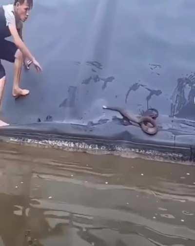 He’s tripping on the snakes, I’m tripping on the darkness of the water and whatever TF might else be in it. *cringe*