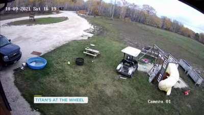 Dog takes Golf for a crash test drive 🤣