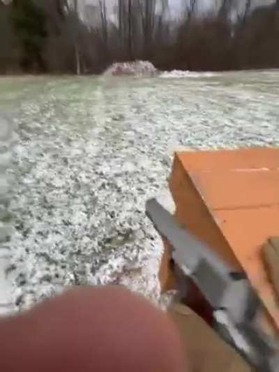 Springfield Armory Colt