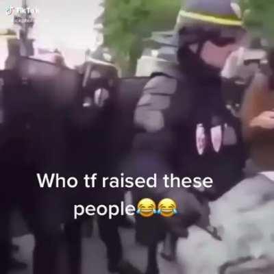 I thought pterodactyls were extinct