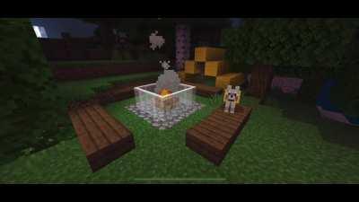 Here’s a break from scrolling.