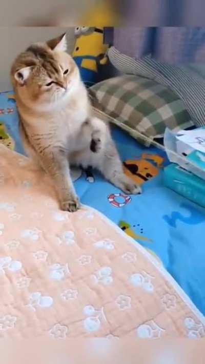 We all know how it's gonna end