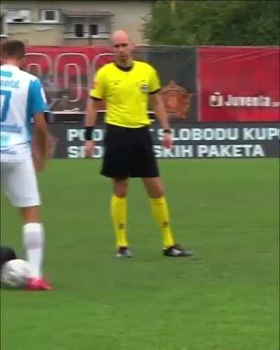 This dog broke onto the pitch and pulled off a nutmeg