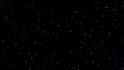 Radiation on a camera-equipped cell phone