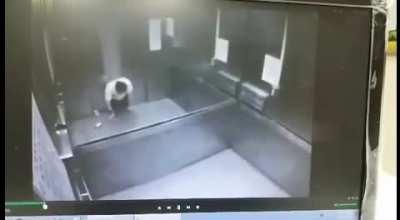 Chinese elevators... man.