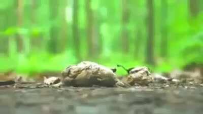 Thanks, I hate inconveniences