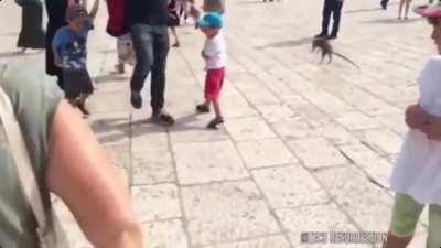 Nothing like a well-kicked rat to the face.