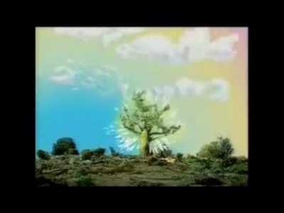 n lembrava que era assim