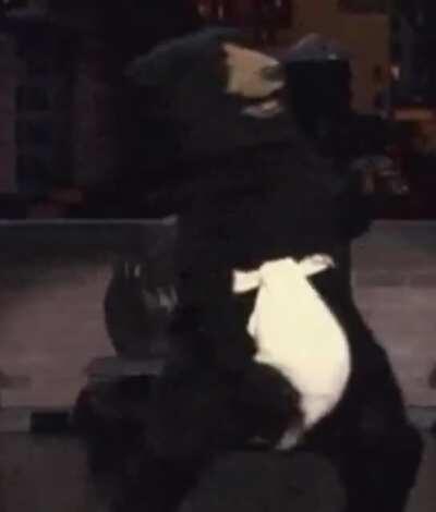 Bears today be like...