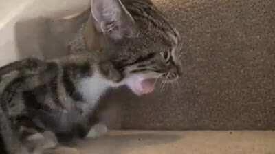 And now you're stuck !