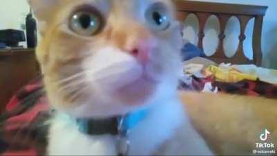 oscar has strong morale values