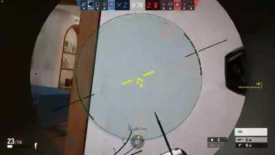 Had a little lizard laugh