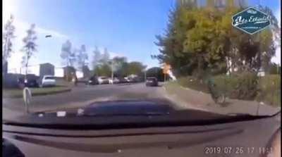 Those bugs hitting your windshield get bigger each year