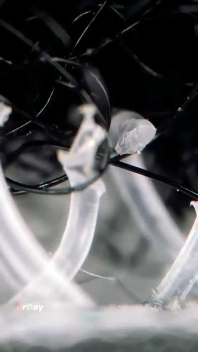 How Velcro works in macro