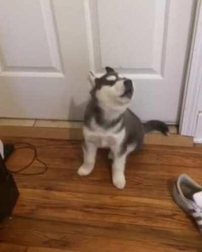 TB to Gukki singing to police sirens 🥰