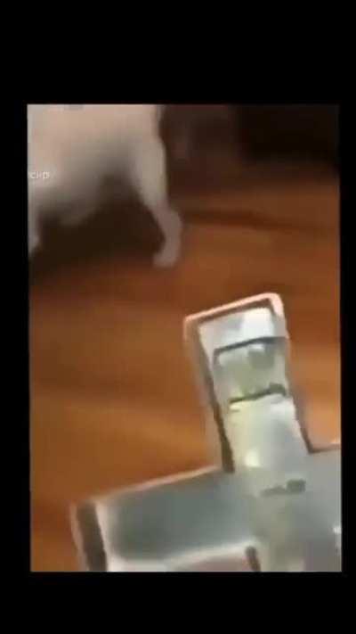 Изгоняющий дьявола