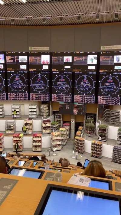 This is what a flowers auction looks like in Germany.