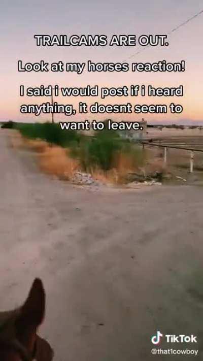 Anybody seen this? Doesnt seem like a some kinda skit