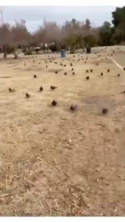 The scanner just lit up like a Christmas tree