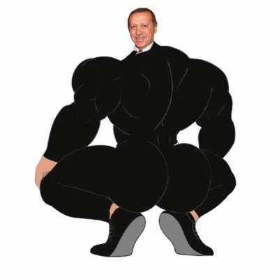 Quick question,do i get arrested in Turkey if i post this? (im not sorry)