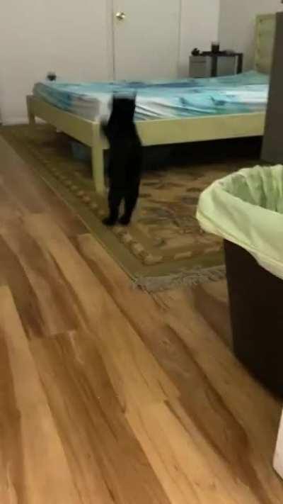 He was trying to scare me while I used the toilet, and didn’t like when the tables turned