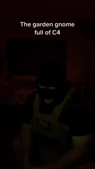 Just funny little gnomes