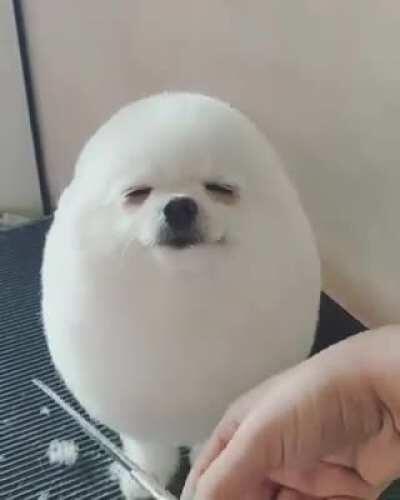 Forbidden Boiled Egg.