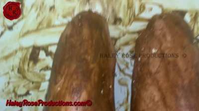 Lick your food off me, toilet slave! 😂😈