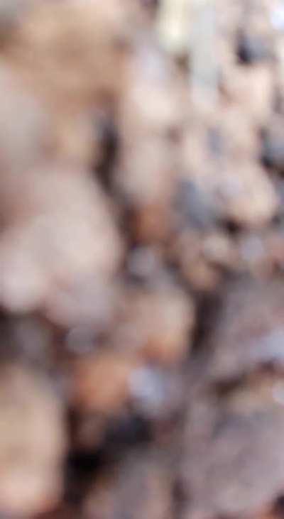 Ru pov: Footage of a artillery shell landing near several Ukrainian soldiers in a trench